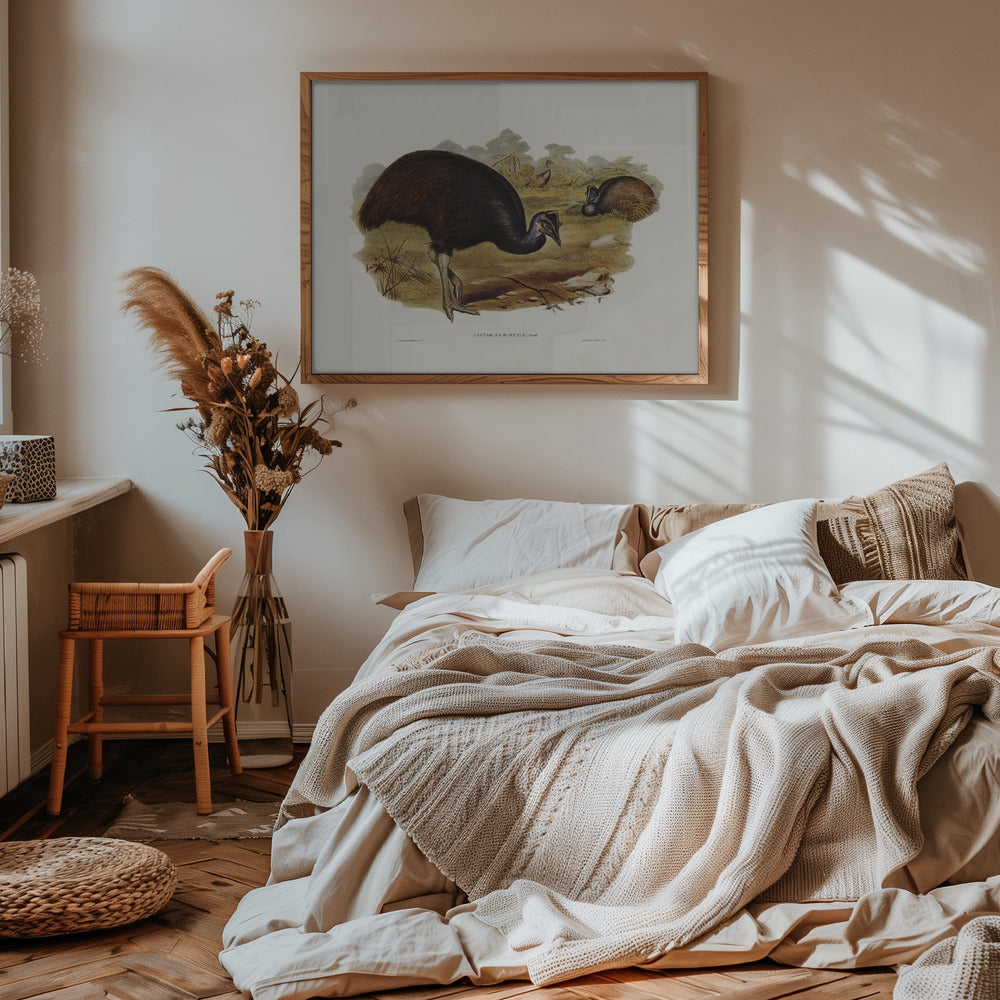 Bennett's Cassowary Poster